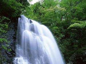 東横INN大分中津駅前の魅力と快適さ：ビジネス＆観光に最適な宿泊施設の詳細解説