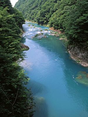 名古屋のビジネスホテル「東横INN名古屋錦」の魅力と特長完全ガイド