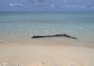 大阪・梅田エリアのビジネスホテル：東横INN梅田中津1の魅力と詳細情報
