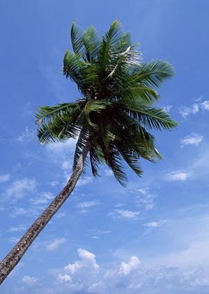 東横INN調布京王線布田駅｜東京都調布市のビジネスホテルの魅力と予約情報