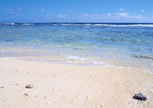 神戸三宮駅から徒歩5分！快適な滞在を提供する東横INN神戸三宮駅市役所前の魅力を徹底解説