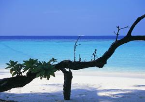 長野県佐久市の快適なビジネスホテル【東横INN佐久平駅浅間口】の魅力と特徴