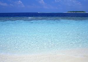 姫路駅から徒歩5分！快適かつ便利な東横INN姫路駅新幹線北口の全て