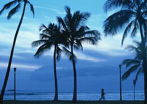 熊本市中心部に位置する東横INN熊本桜町バスターミナル前の魅力と特徴
